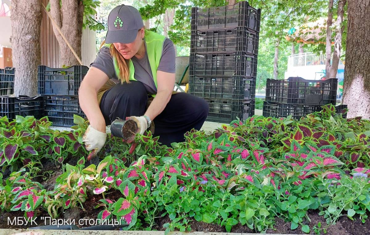 Цветочная феерия: в парке Гагарина продолжается высадка цветов