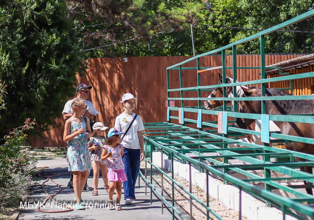 Дети из многодетных семей и семей участников СВО посетили зооуголок и покатались на аттракционах