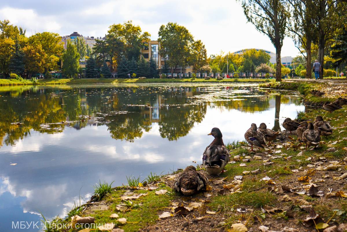 Осень разукрашивает парки столицы яркими красками