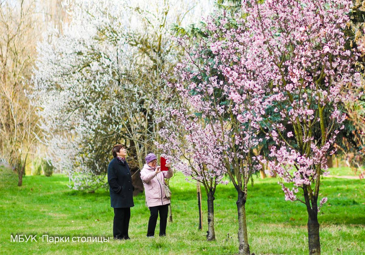 Цветущая весна в парке Гагарина