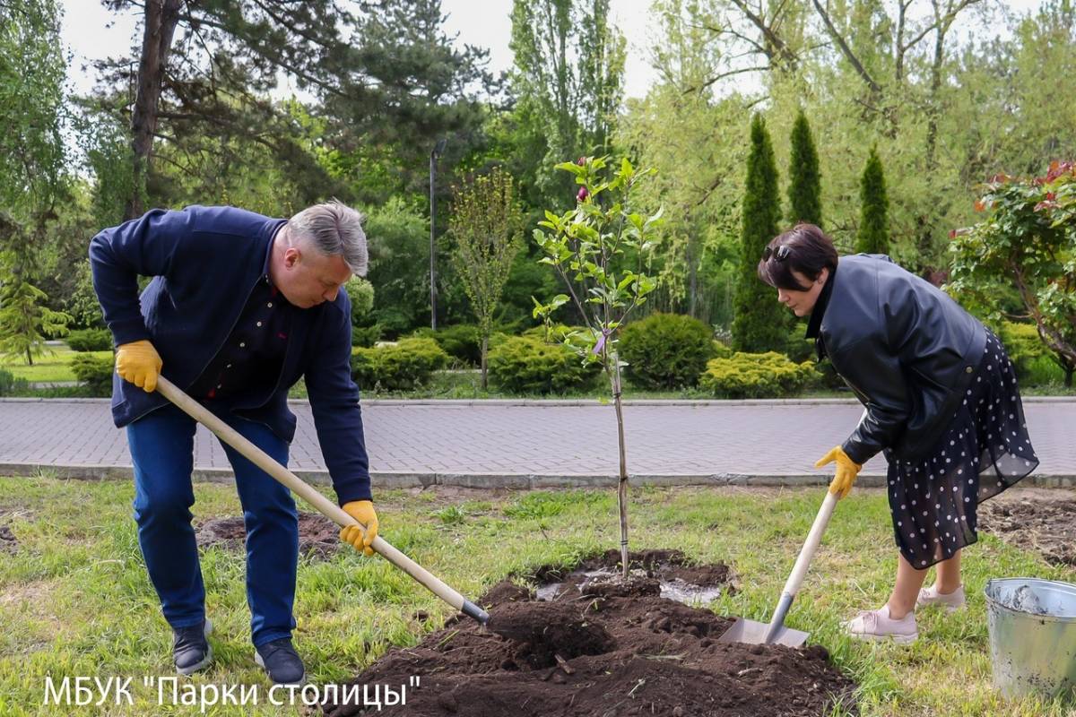 Парк Гагарина украсили 25 декоративных цветущих деревьев и кустарников