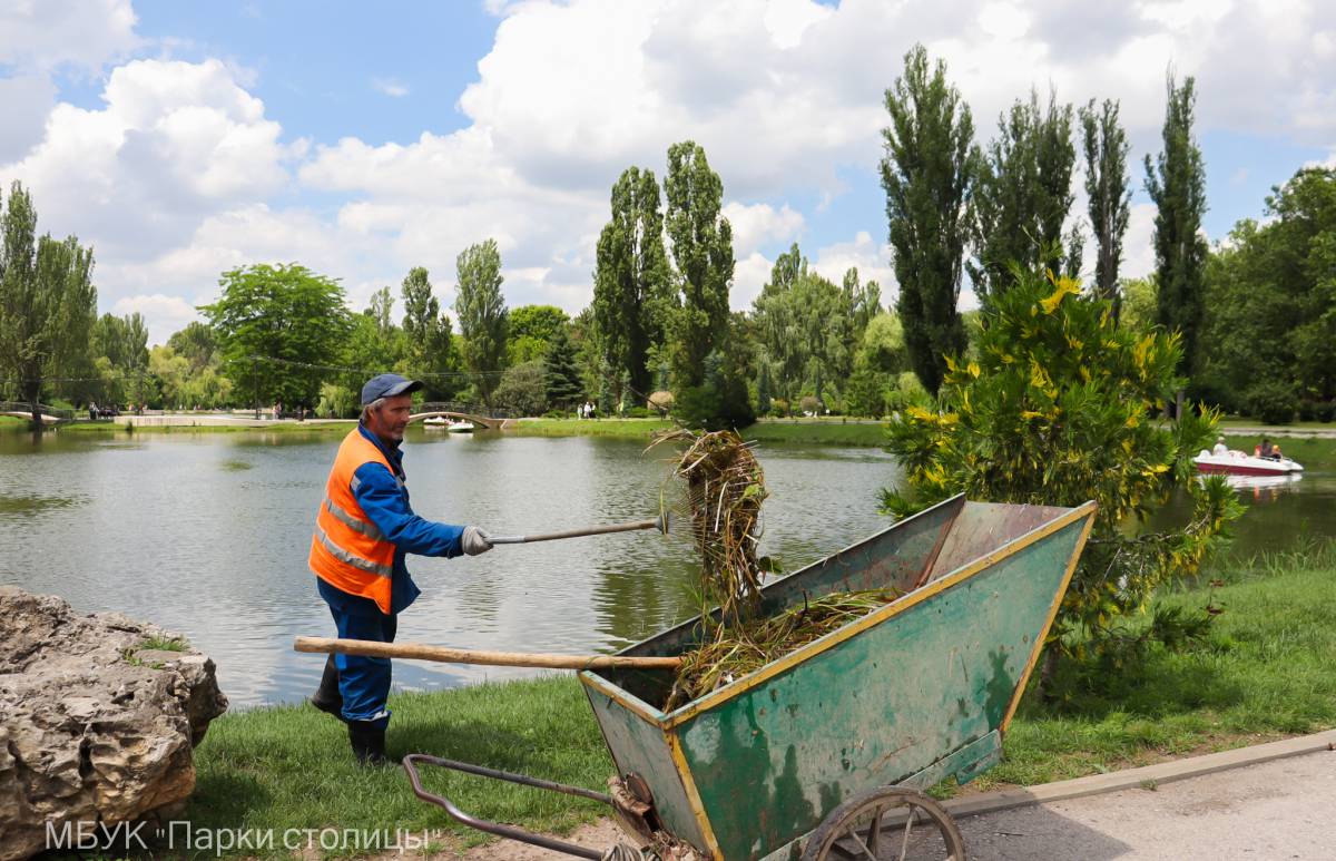 Озеро в парке Гагарина ежедневно очищают от мусора