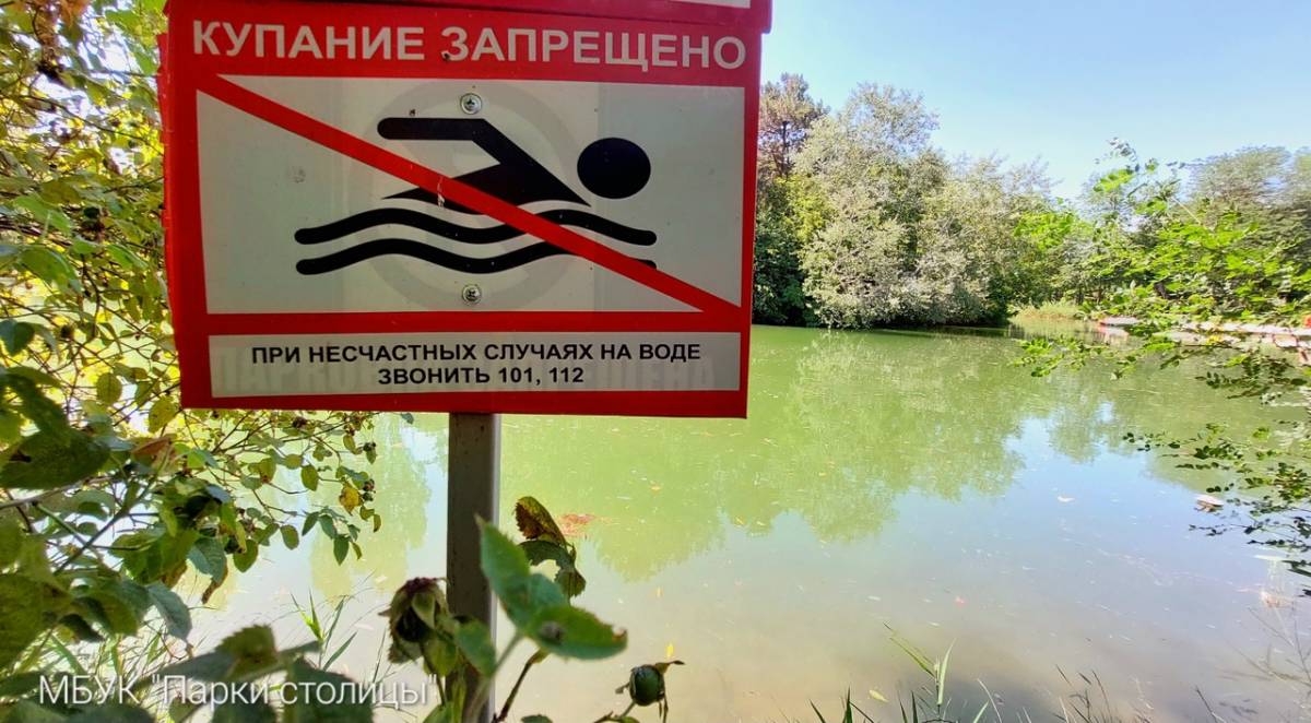 Купание в пруду парка им. Гагарина запрещено