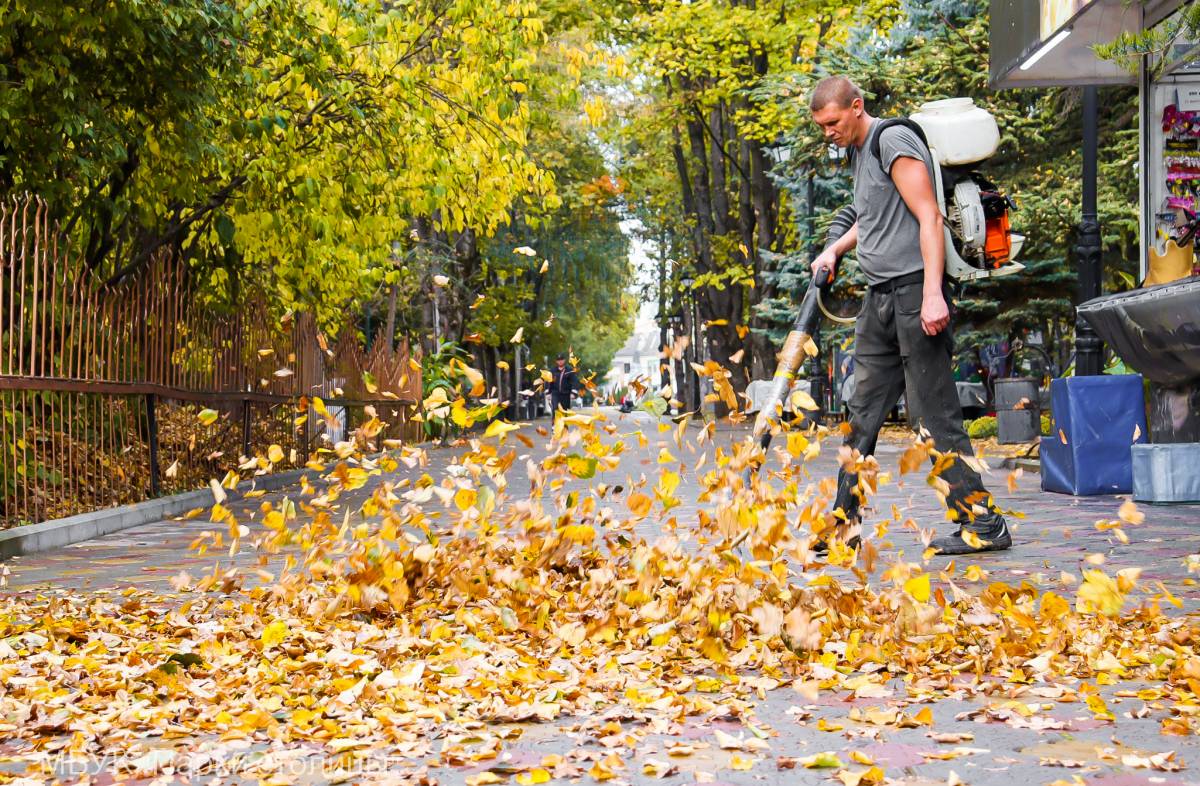 В парках и скверах Симферополя начинается период самого активного листопада