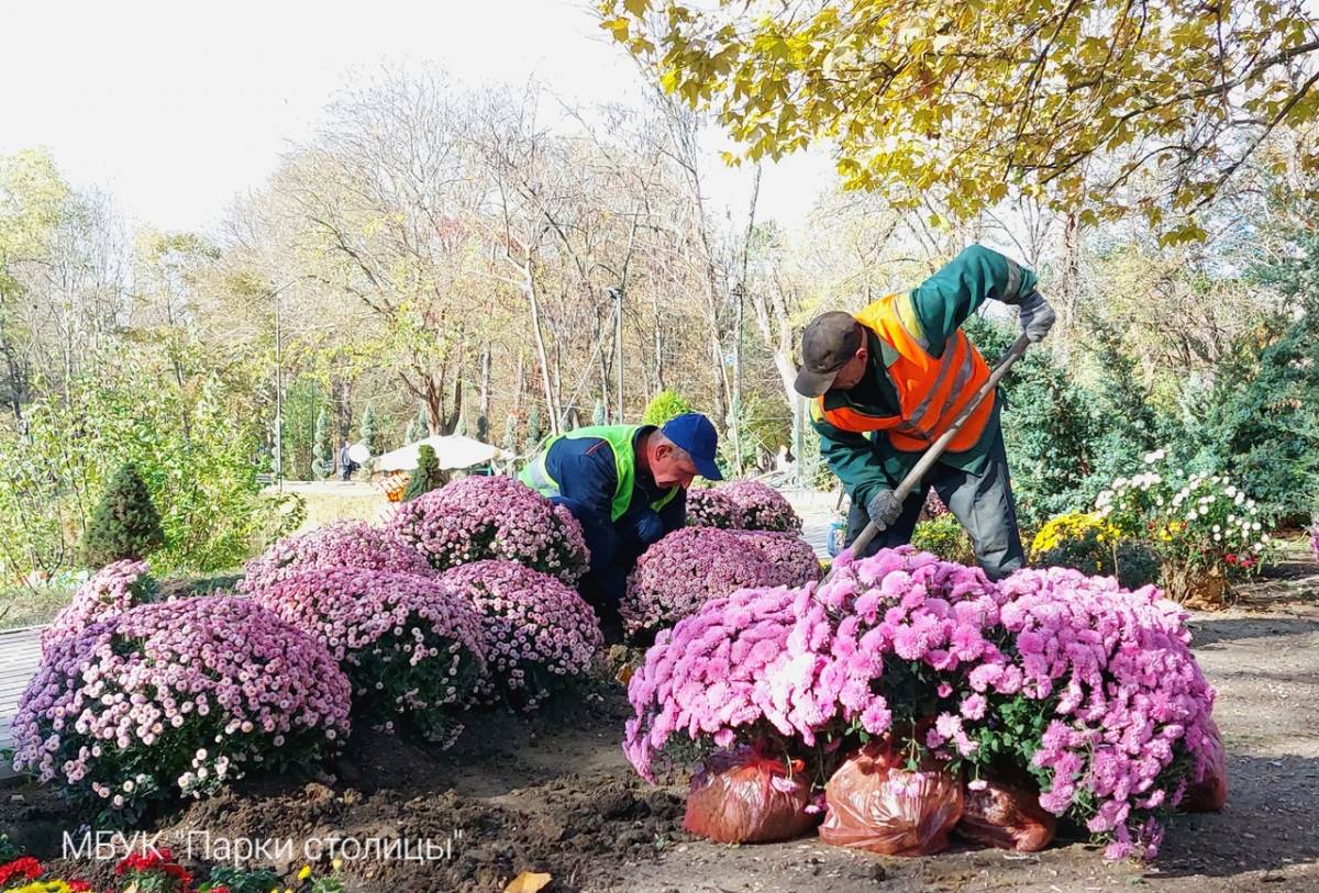Осенняя высадка цветов продолжается: работы проходят в парке им. Гагарина