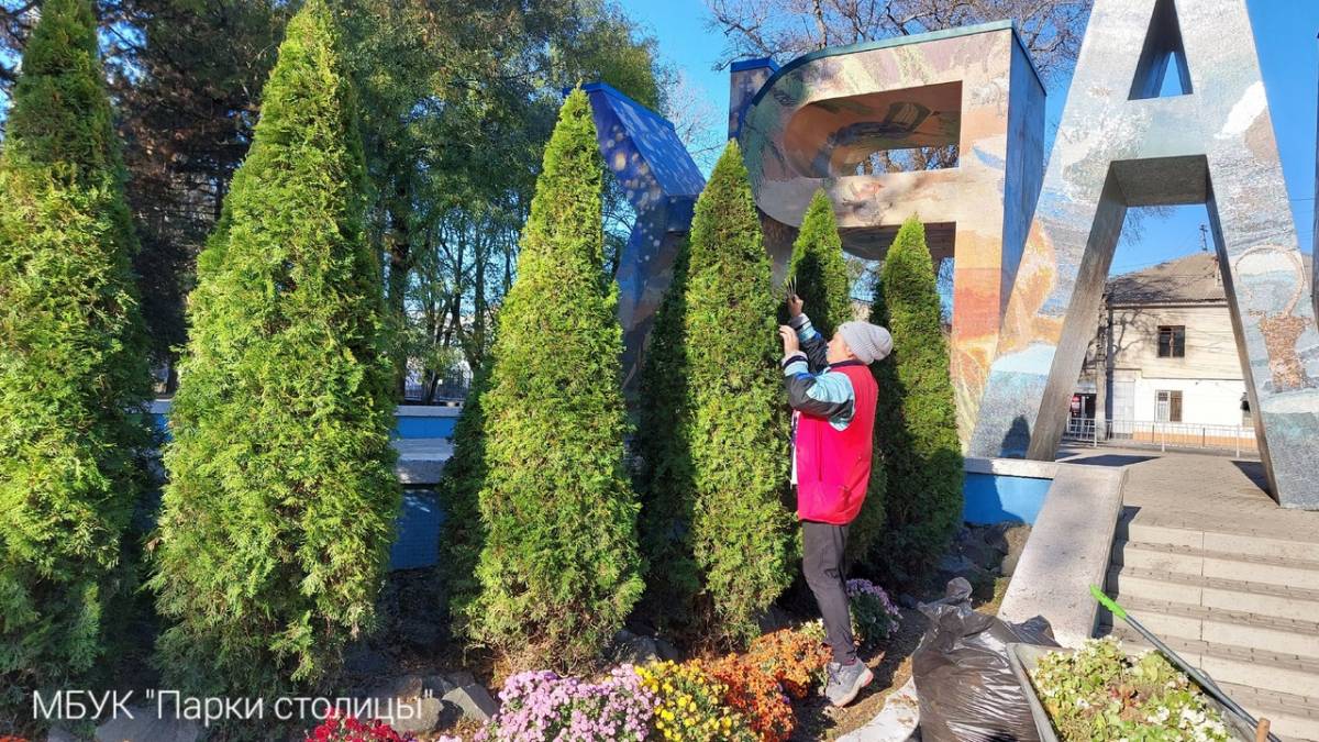 В парках Симферополя проходит санитарная чистка декоративных хвойных растений