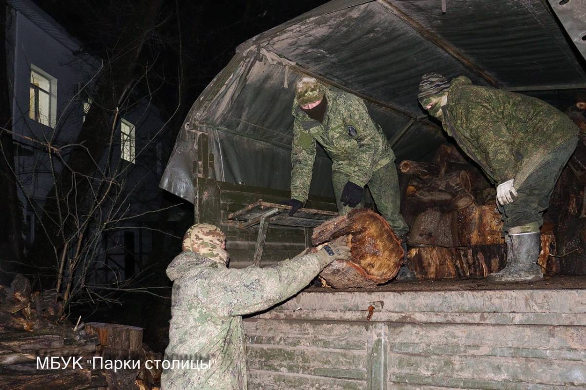 Сегодня очередная партия дров из парка Гагарина отправилась на обогрев бойцов СВО